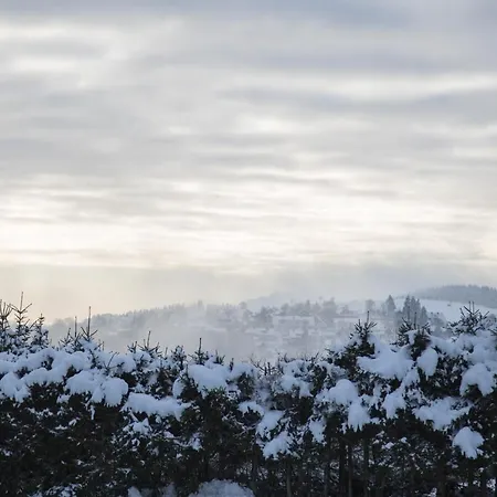 Naturtraum-aktivurlaub Mit Hund Direkt An Wanderwegen Und Im Gruenen *