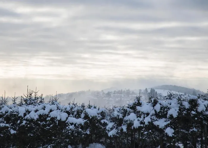 Naturtraum-aktivurlaub Mit Hund Direkt An Wanderwegen Und Im Gruenen *